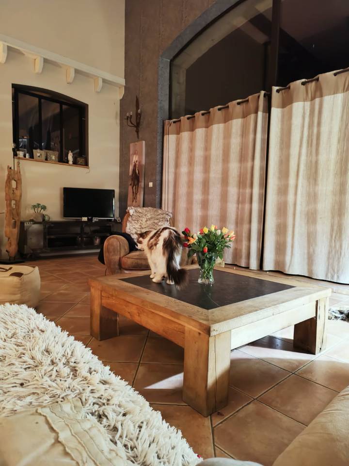 Luxurious equestrian property  Deux-S&egrave;vres