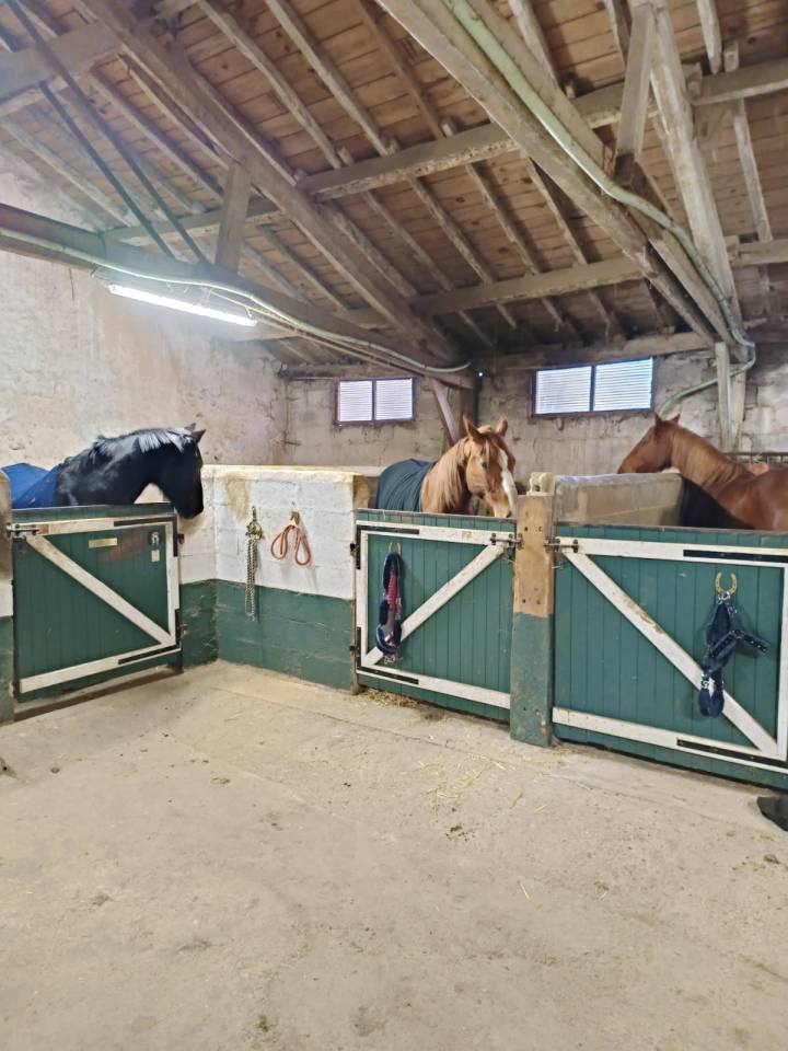 Luxurious equestrian property  Deux-S&egrave;vres