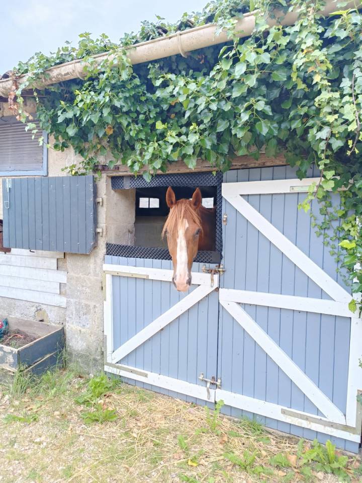 Luxurious equestrian property  Deux-S&egrave;vres