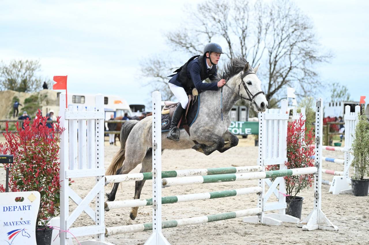 Mare Origin Recorded For sale 2020 Grey