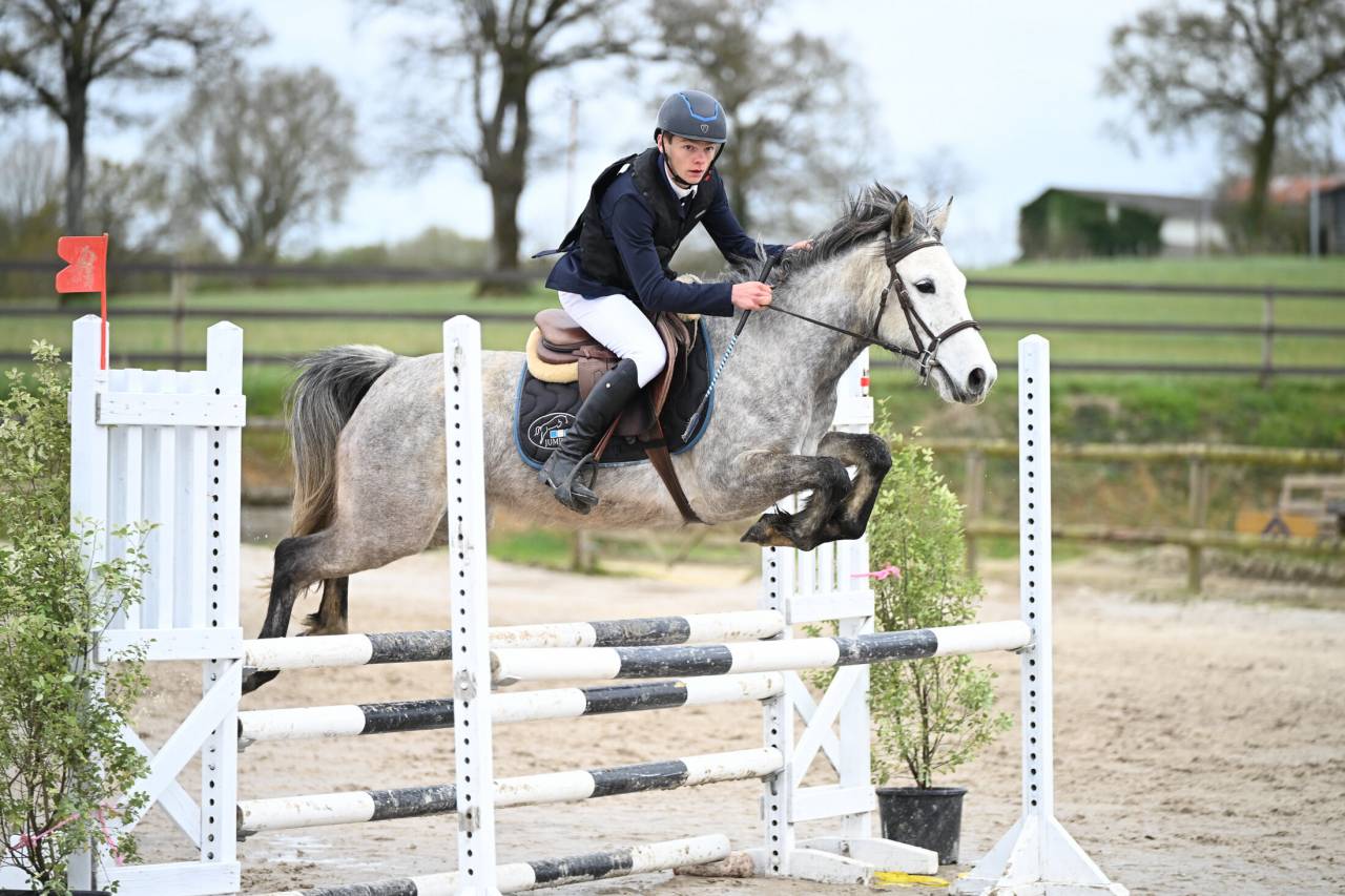 Mare Origin Recorded For sale 2020 Grey