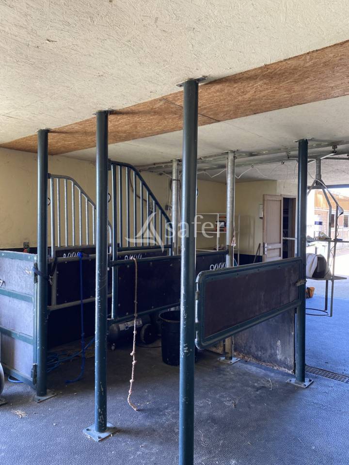 Equestrian property  Calvados