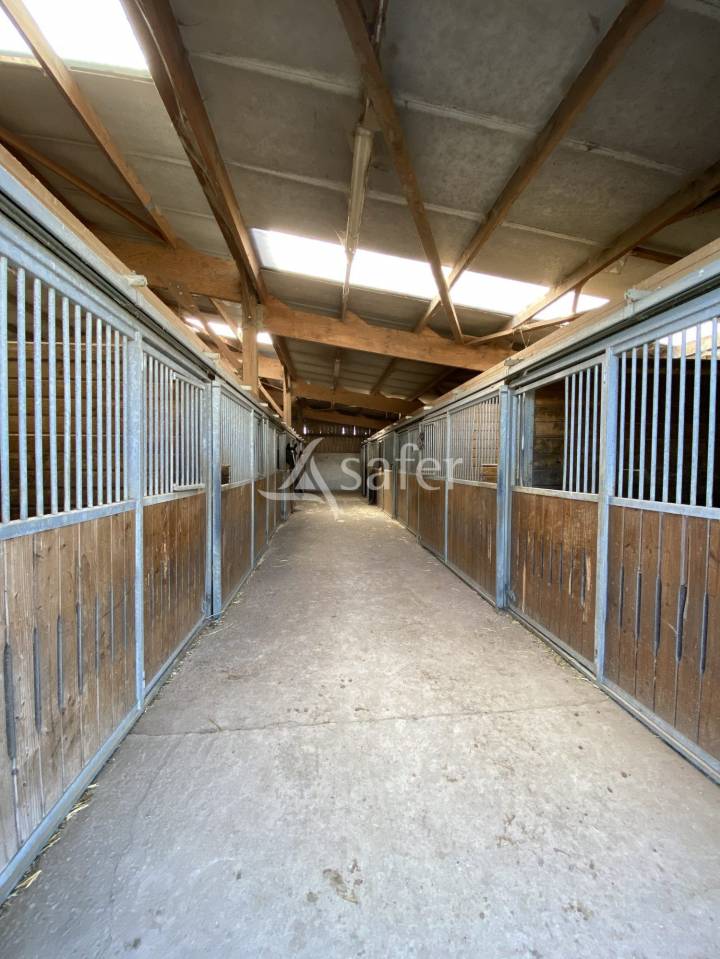Equestrian property  Calvados