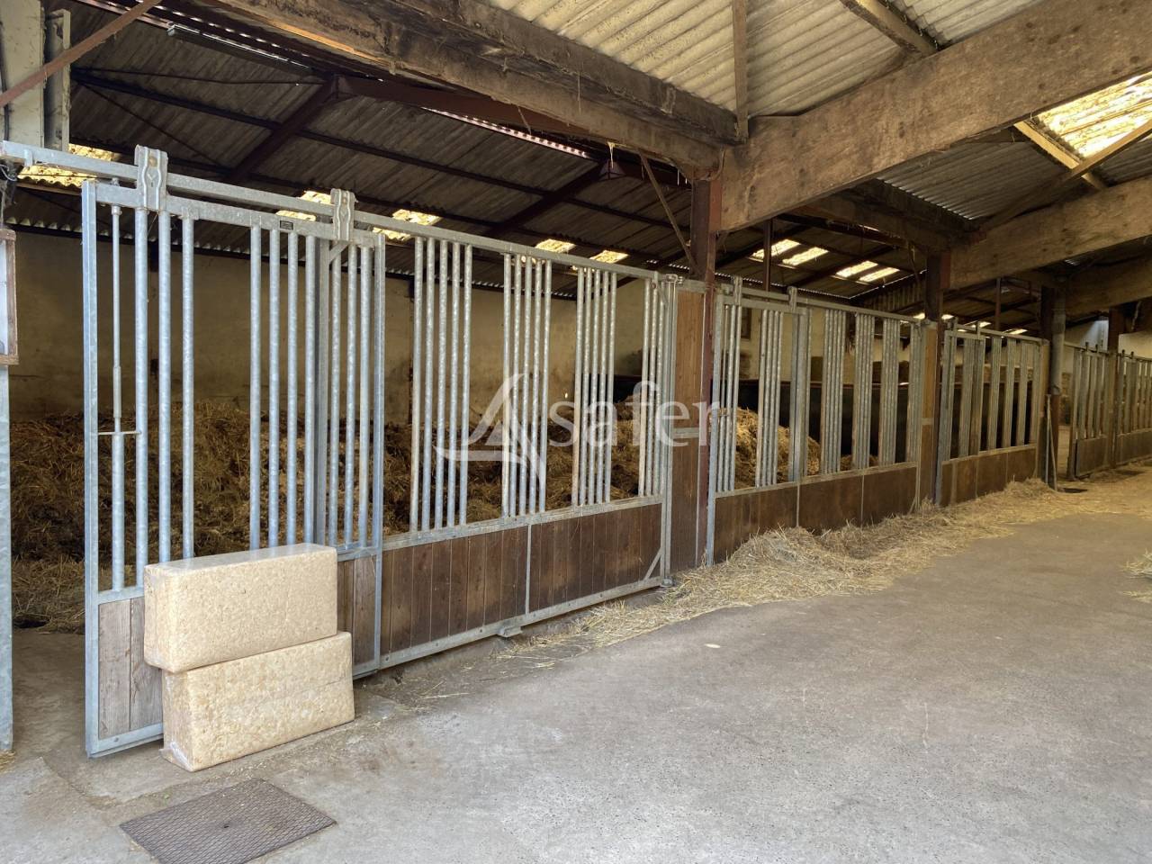 Equestrian property  Calvados
