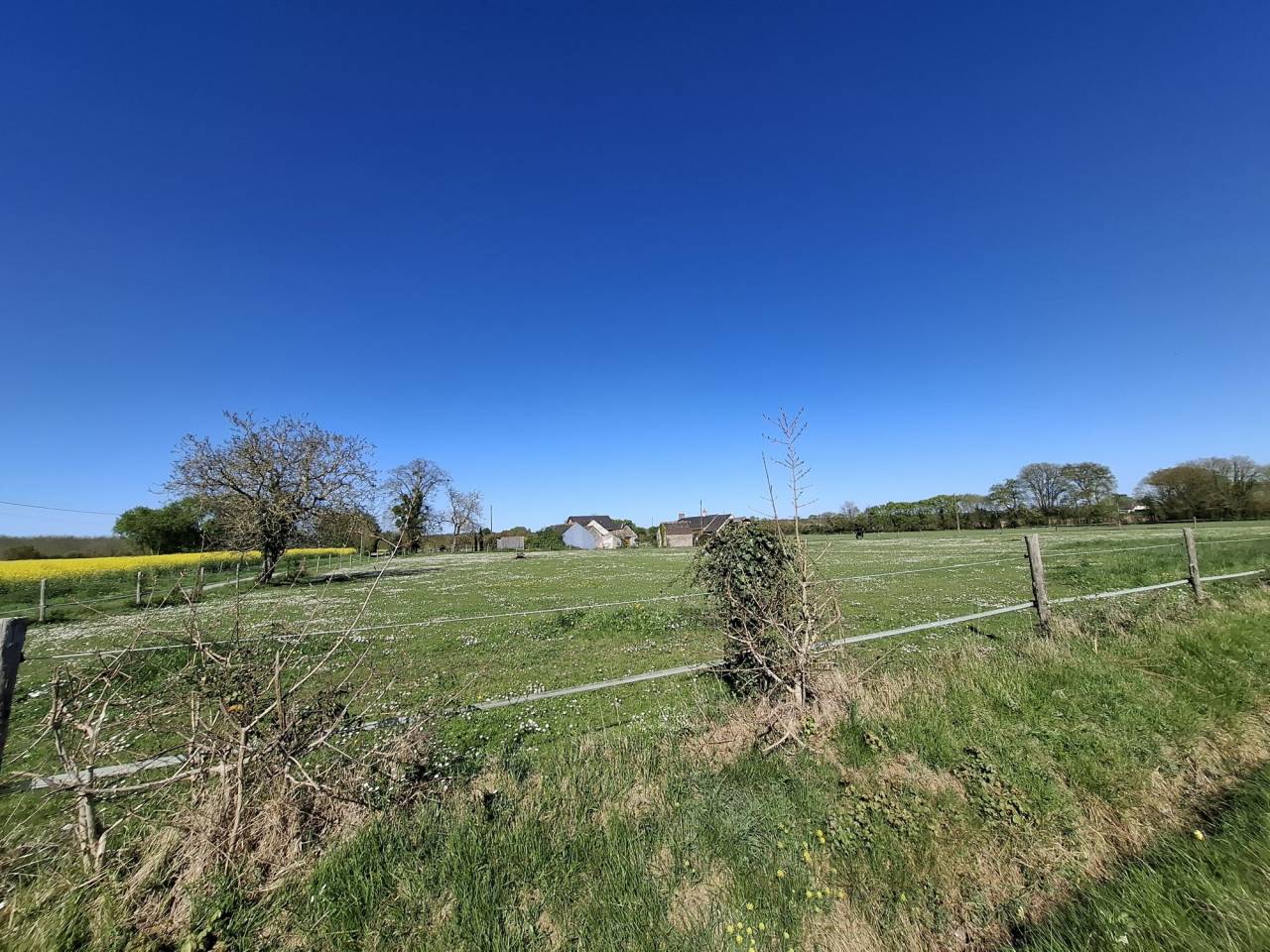 Equestrian property  Maine-et-Loire