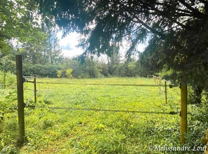 Equestrian property  Seine-et-Marne