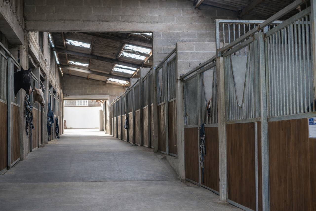 Equestrian property  Ardennes