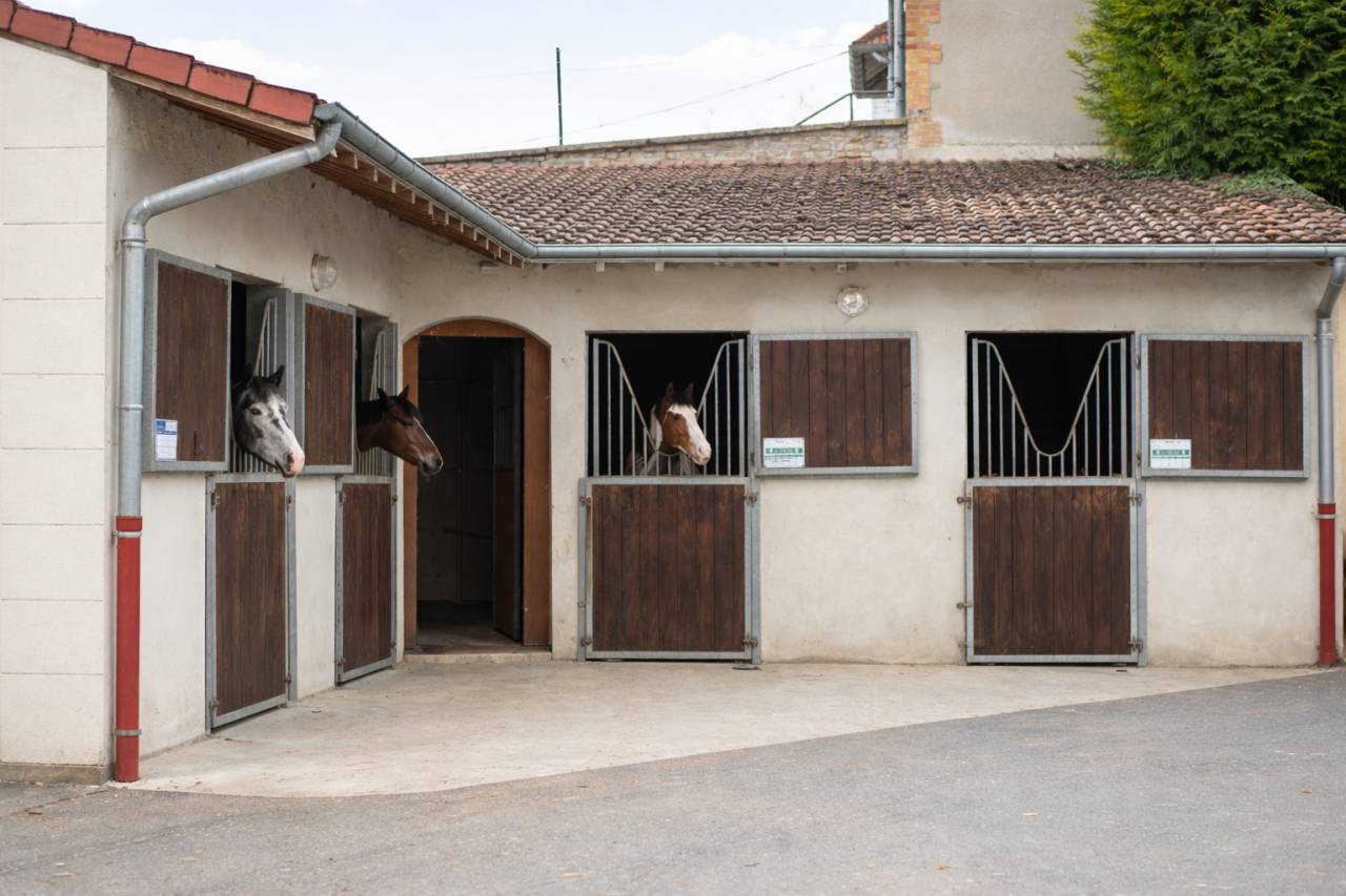Equestrian property  Ardennes