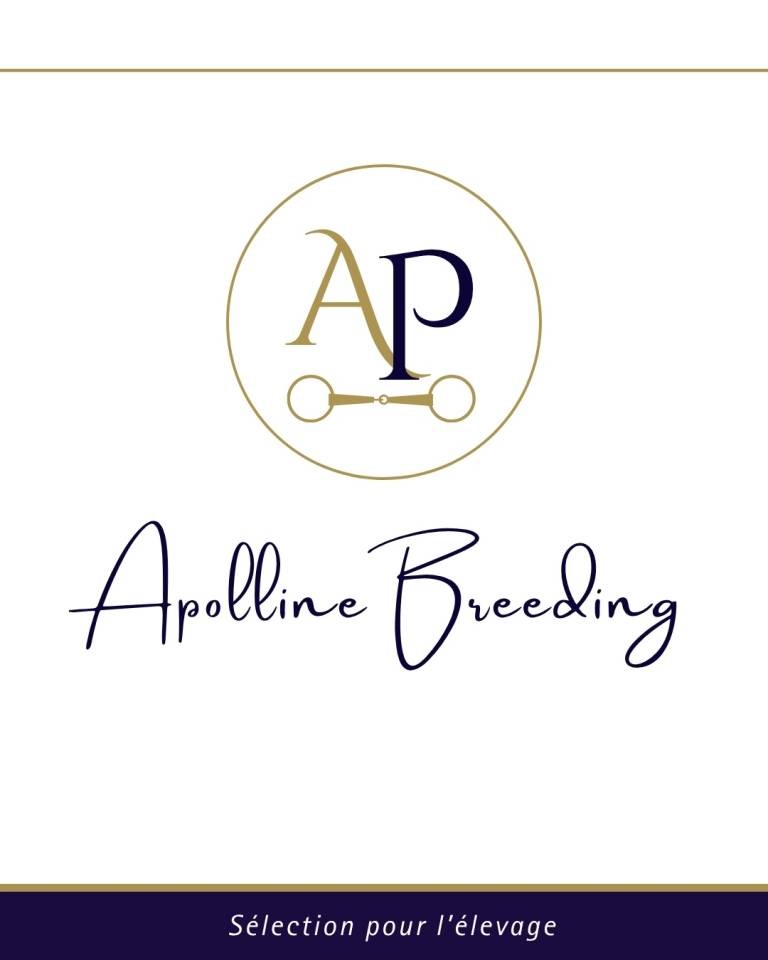 Broodmare Thoroughbred For sale 2023 Bay