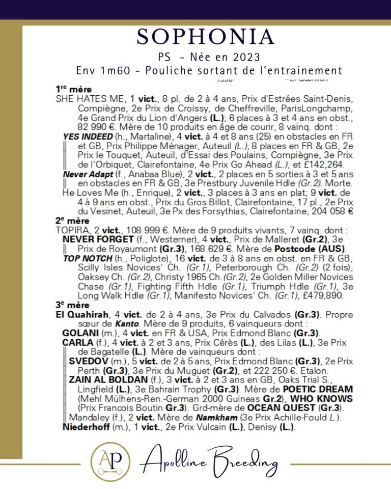 Broodmare Thoroughbred For sale 2023 Bay