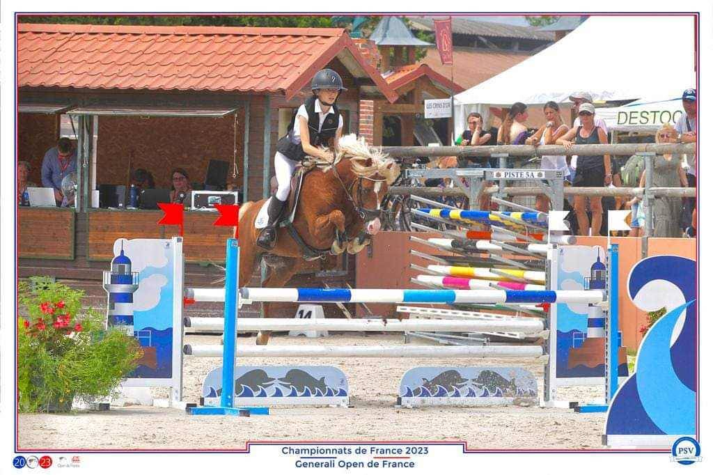GOLBURY DES BERTAINES - Welsh Pony (Section B) 2016 by VINCE DIWAN