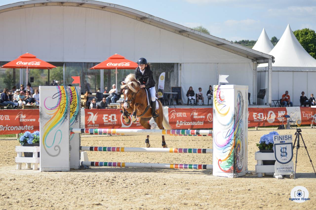 GOLBURY DES BERTAINES - Welsh Pony (Section B) 2016 by VINCE DIWAN