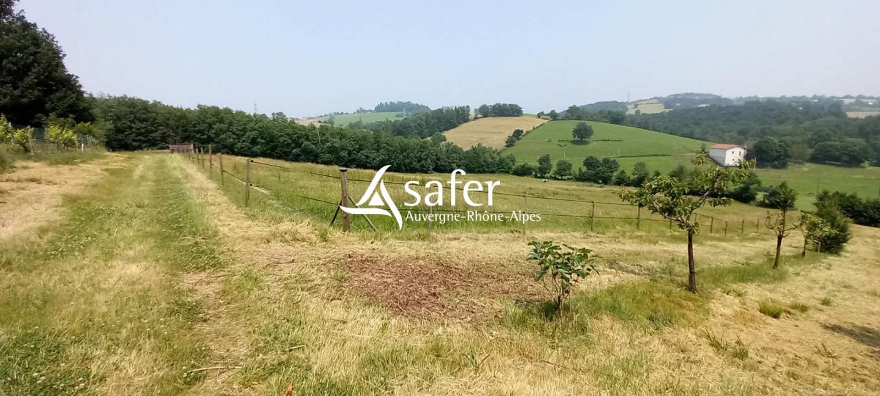 Other agricultural property  Loire