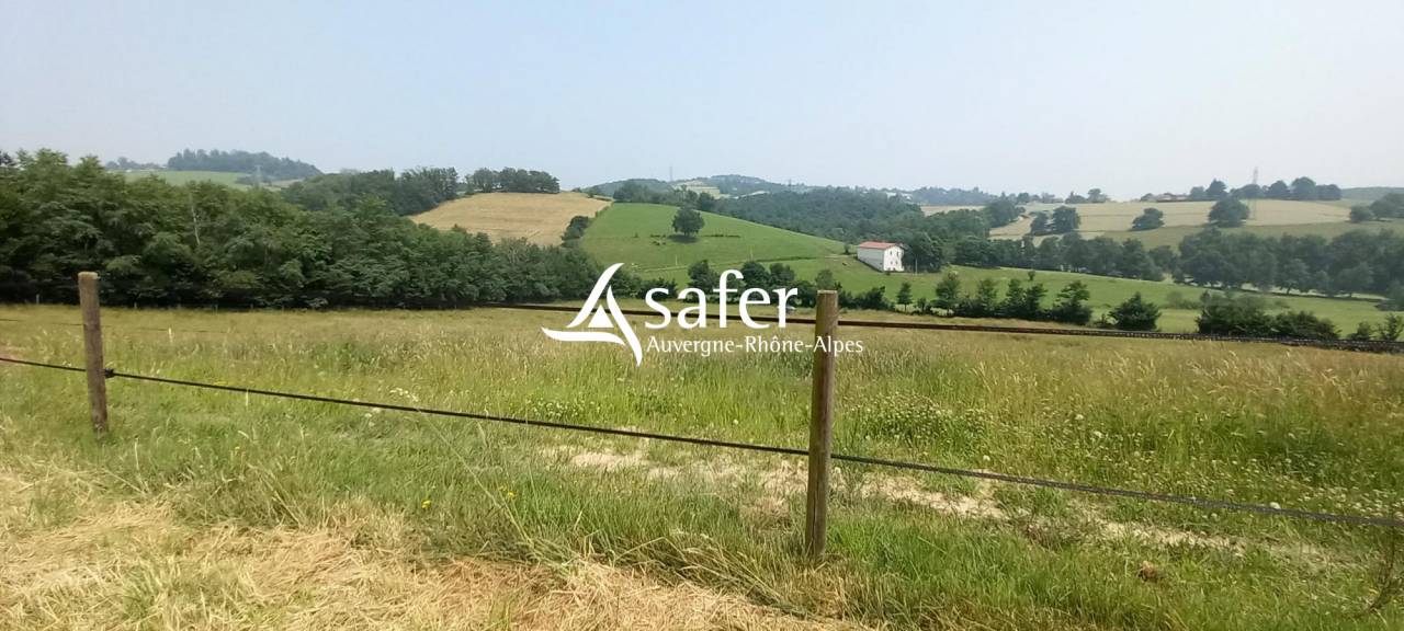 Other agricultural property  Loire