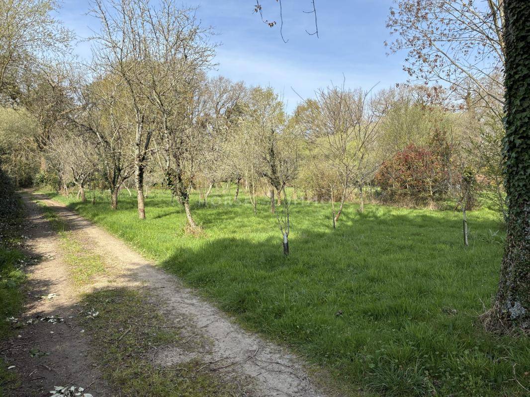 Equestrian property  Morbihan