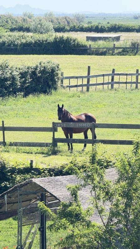 Equestrian property  Bouches-du-Rh&ocirc;ne