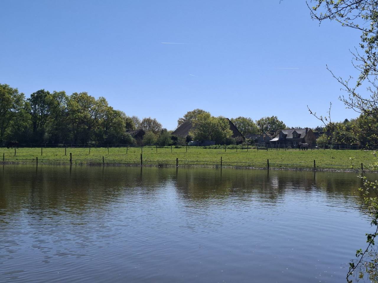 Equestrian Bed and Breakfast  Loire-Atlantique