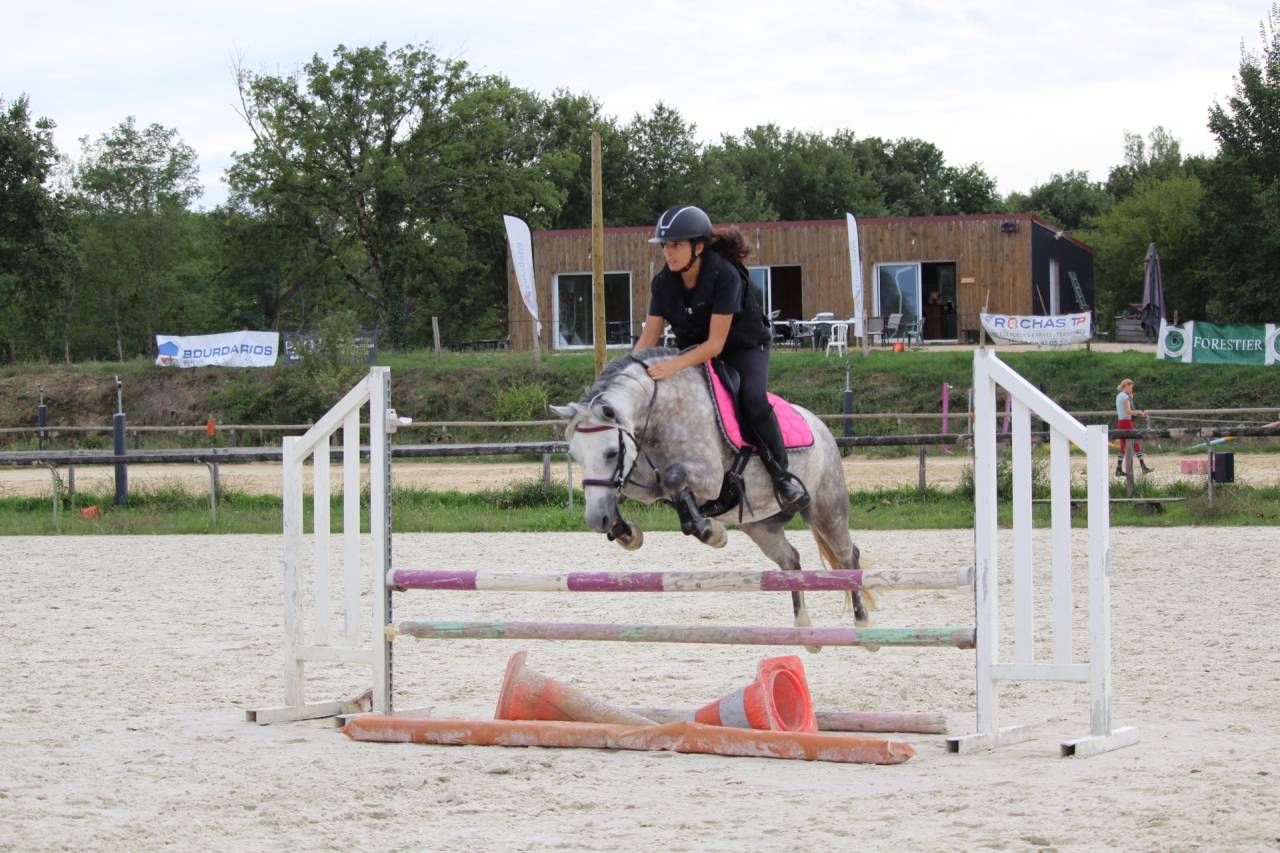 Mare No Origin Recorded For sale 2018 Grey