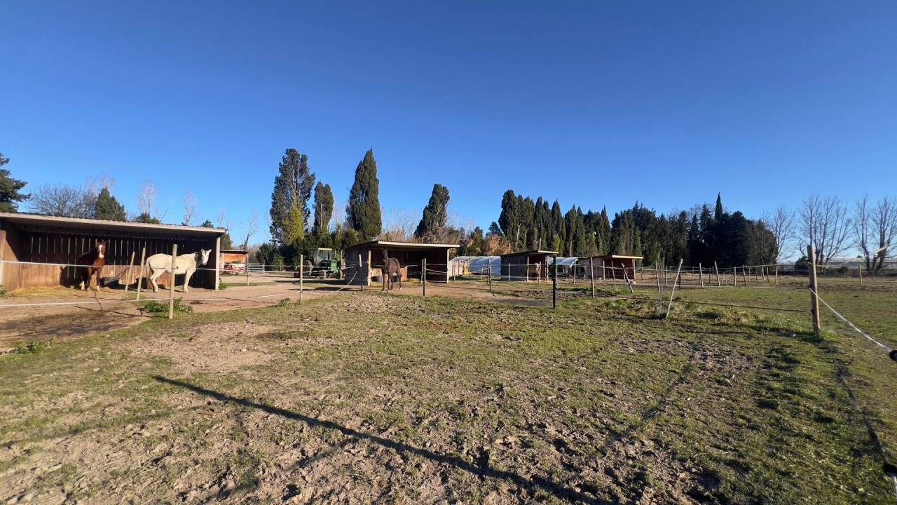 Equestrian property  Bouches-du-Rh&ocirc;ne