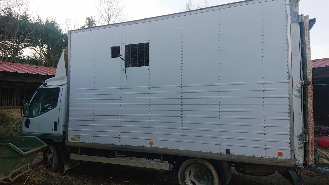 Horsebox HGV Mitsubishi canter 1999 Used
