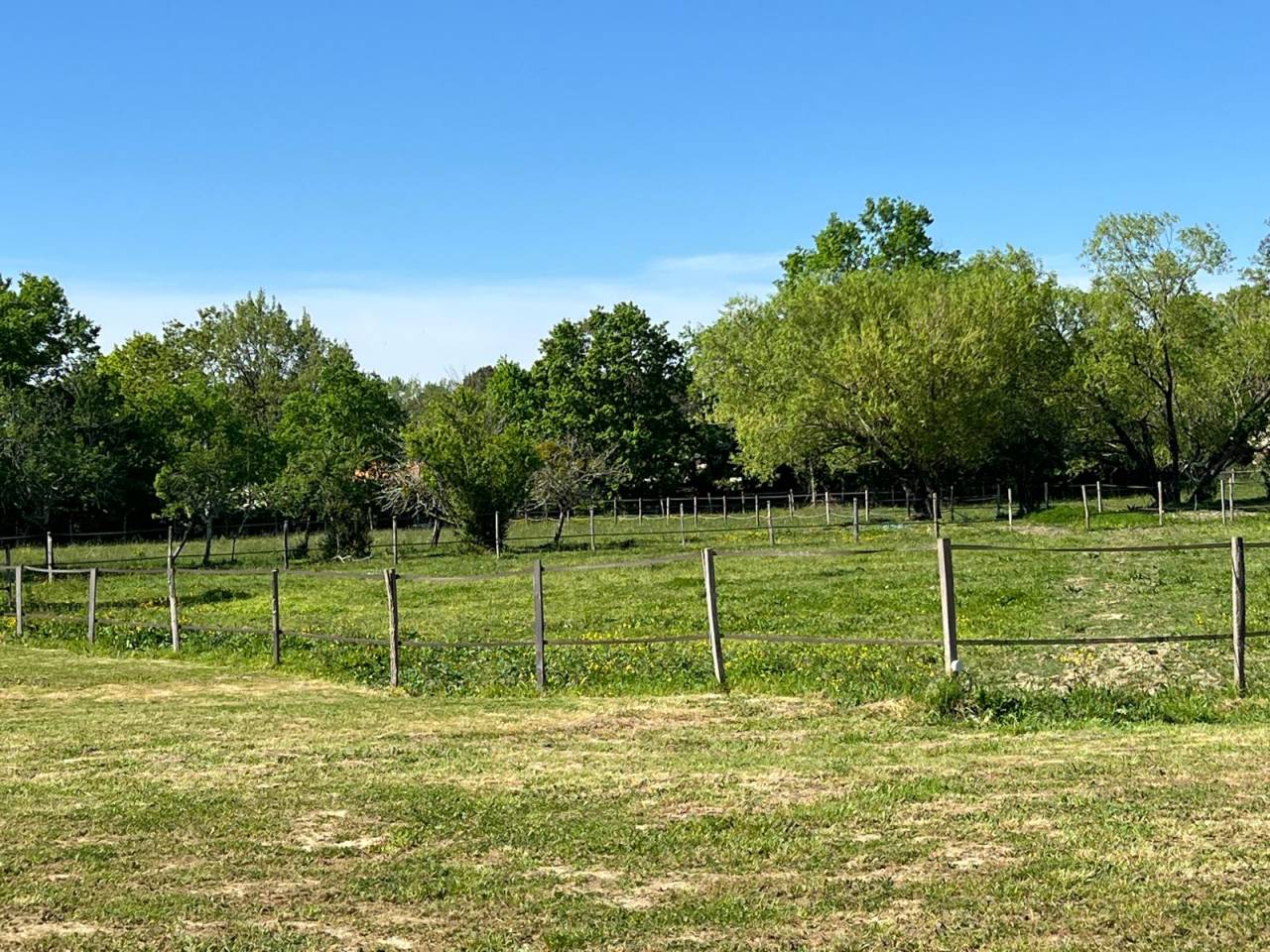 Luxurious equestrian property  Gironde