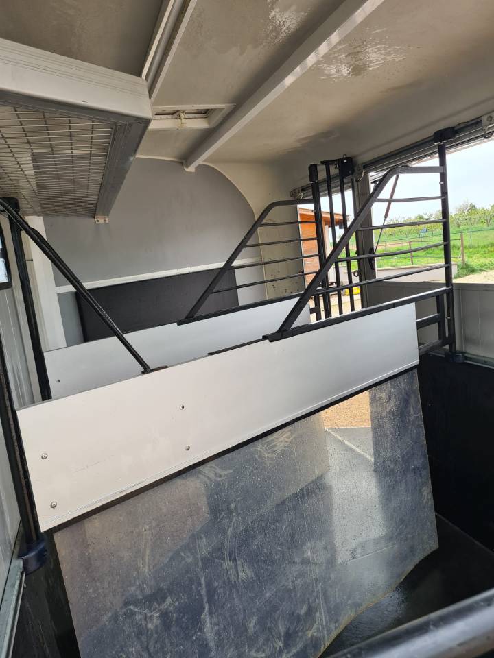 Horse trailer Cheval Liberte Minimax 3 Stalls 2020 Used
