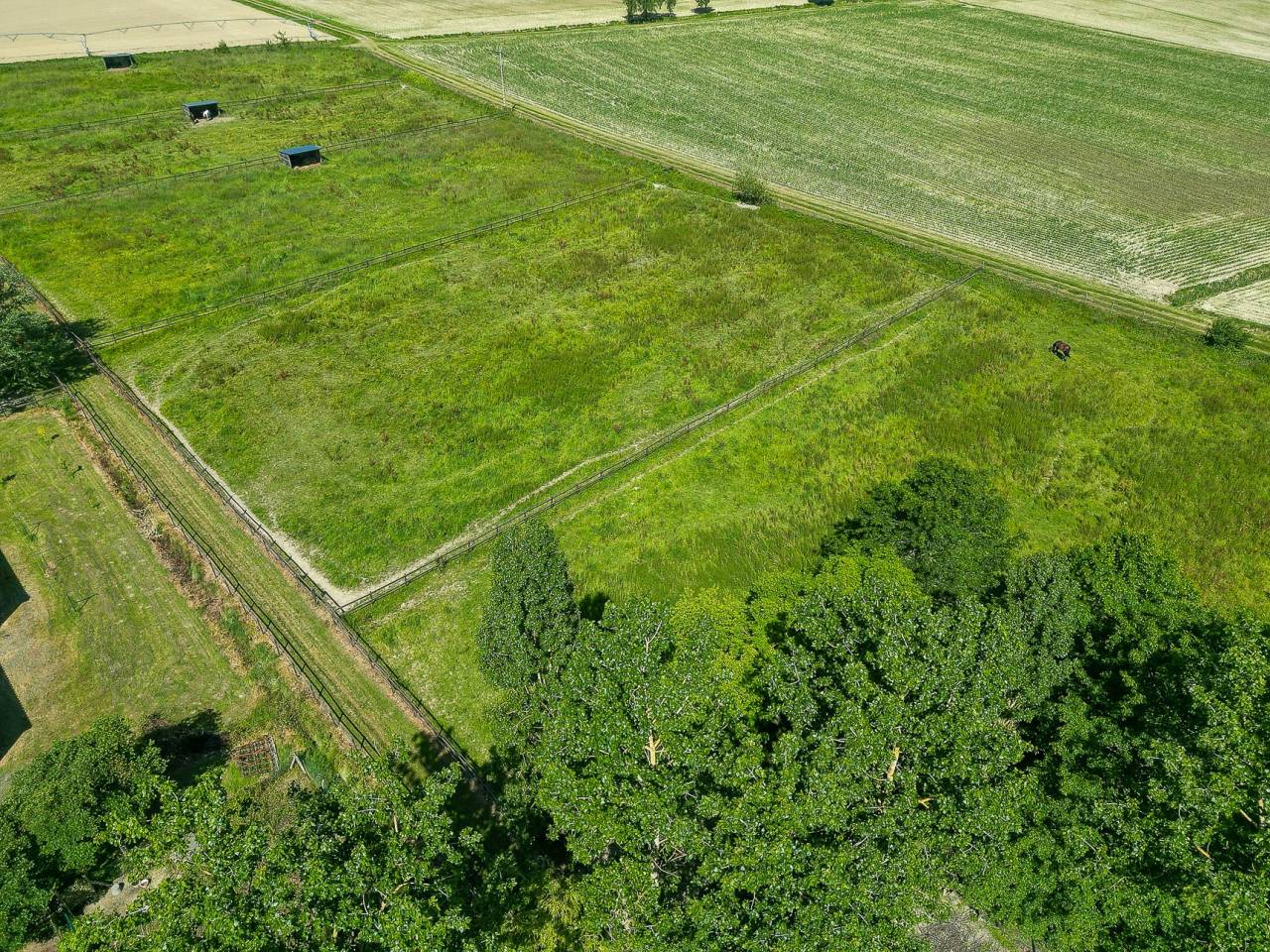 Livery yard  Hautes-Pyr&eacute;n&eacute;es