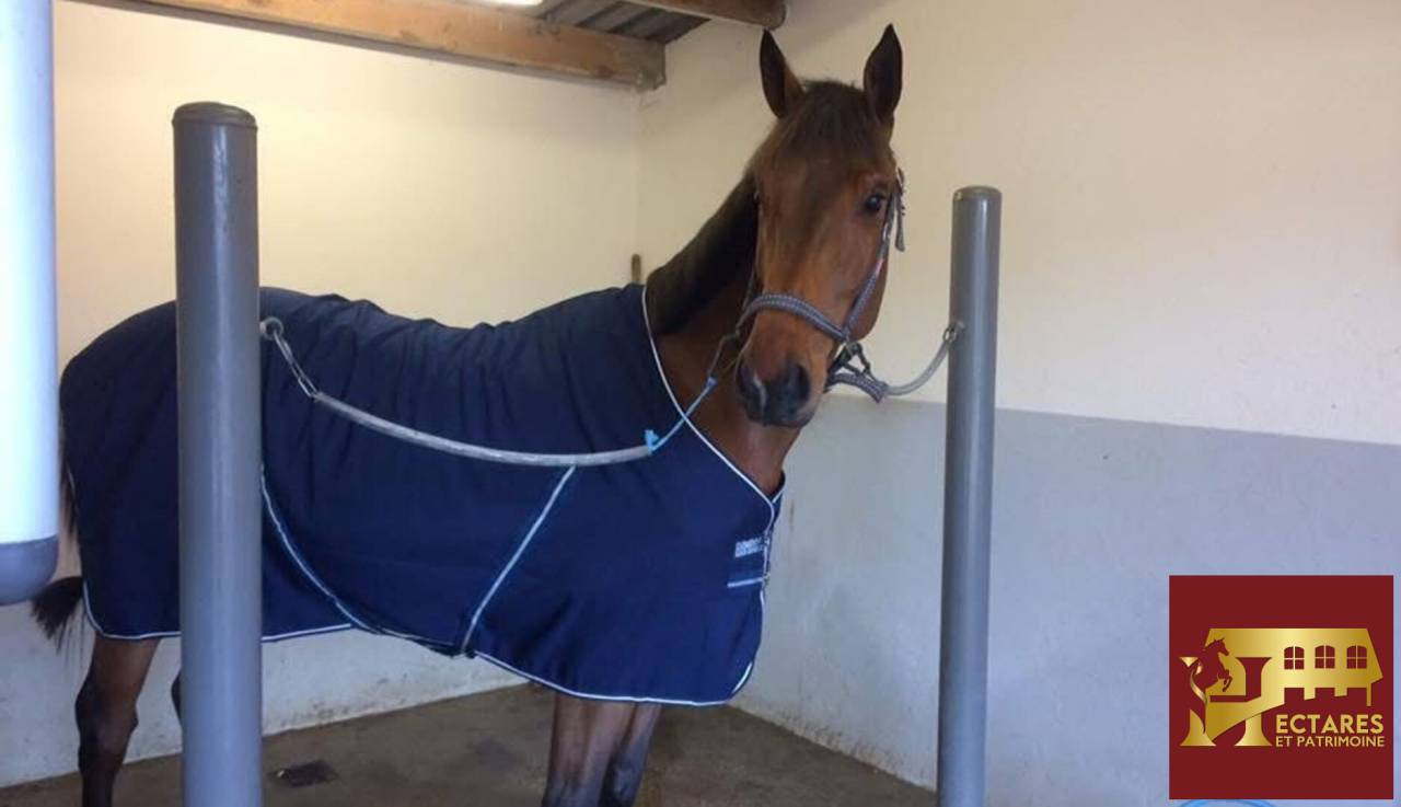 Livery yard  Is&egrave;re