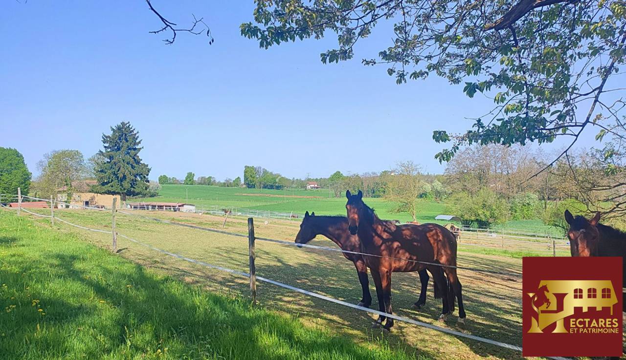 Livery yard  Is&egrave;re