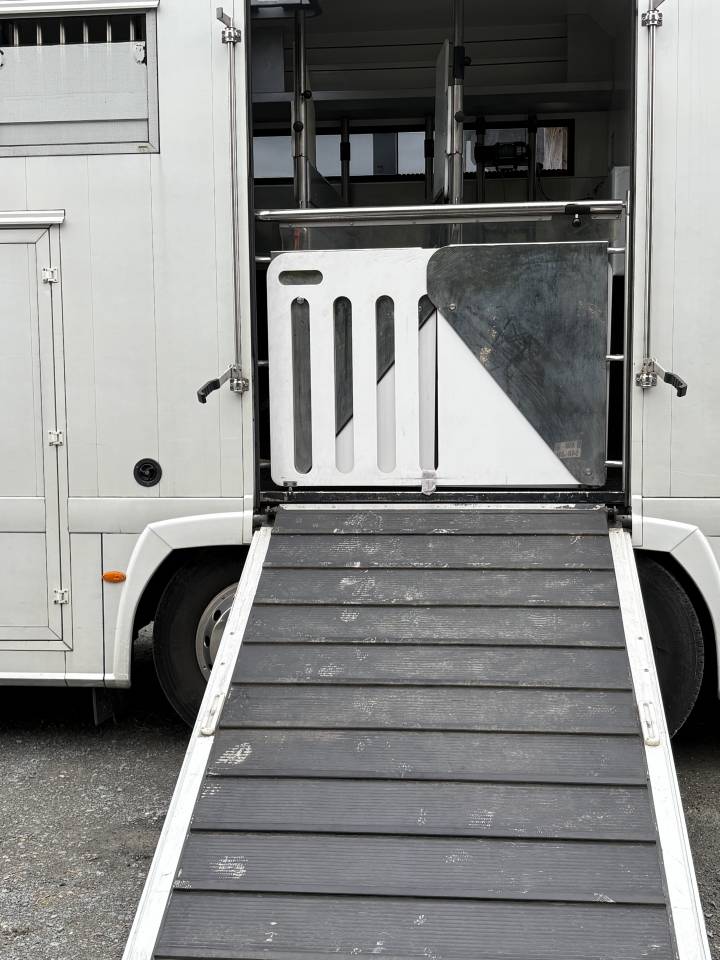 Horsebox NON-HGV Renault MAGNUM STX 2011 Used