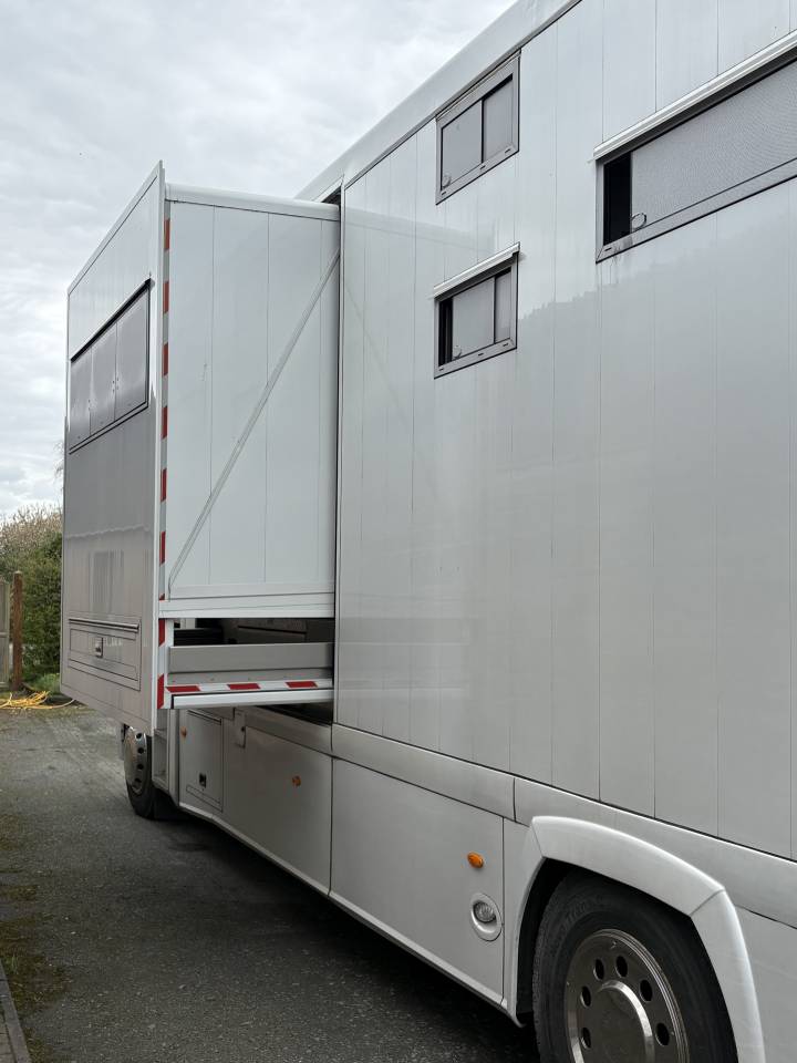 Horsebox NON-HGV Renault MAGNUM STX 2011 Used