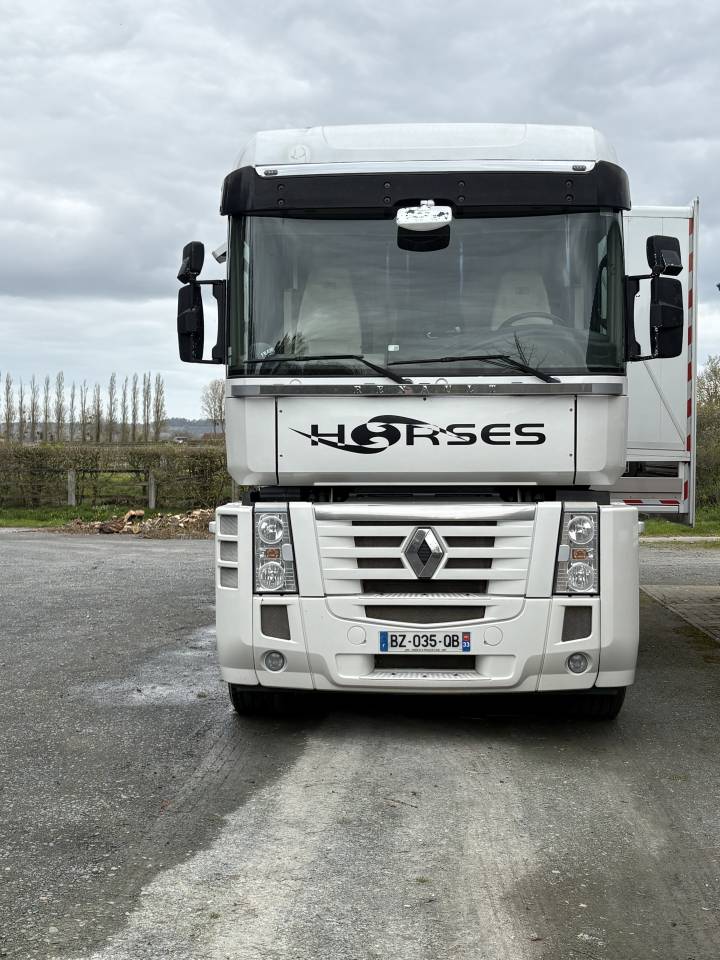 Horsebox NON-HGV Renault MAGNUM STX 2011 Used
