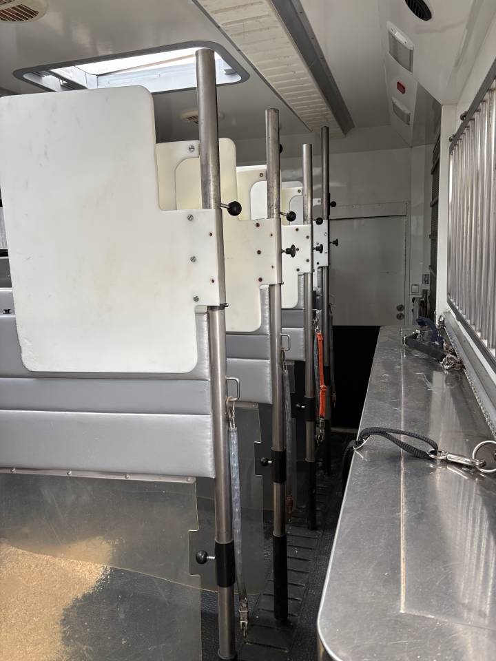 Horsebox NON-HGV Renault MAGNUM STX 2011 Used