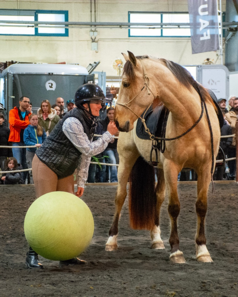 Gelding PRE Pure Spanish Bred For sale 2021 Buckskin