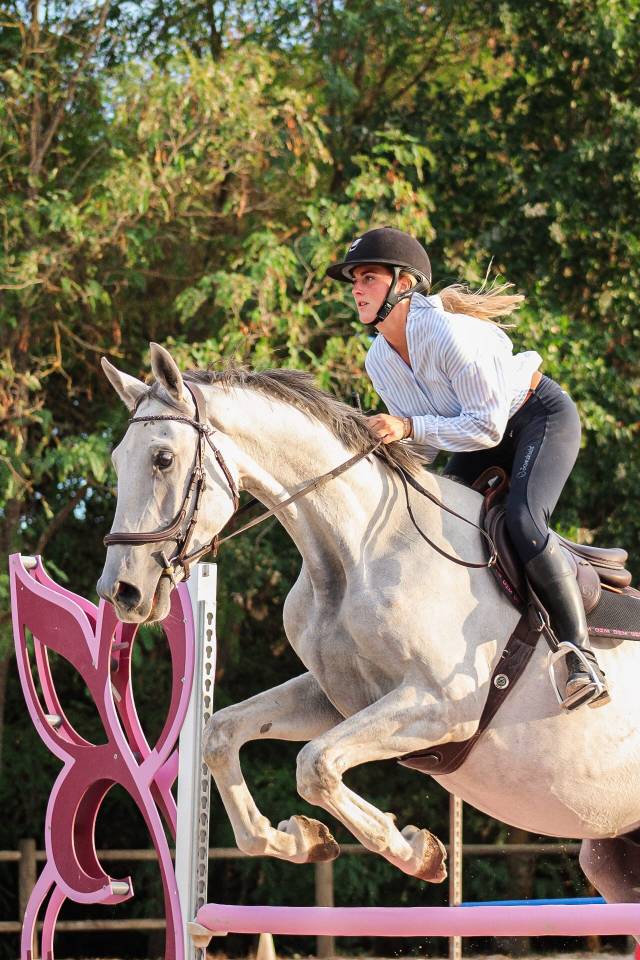 Gelding Irish Sport Horse For sale 2022 Grey