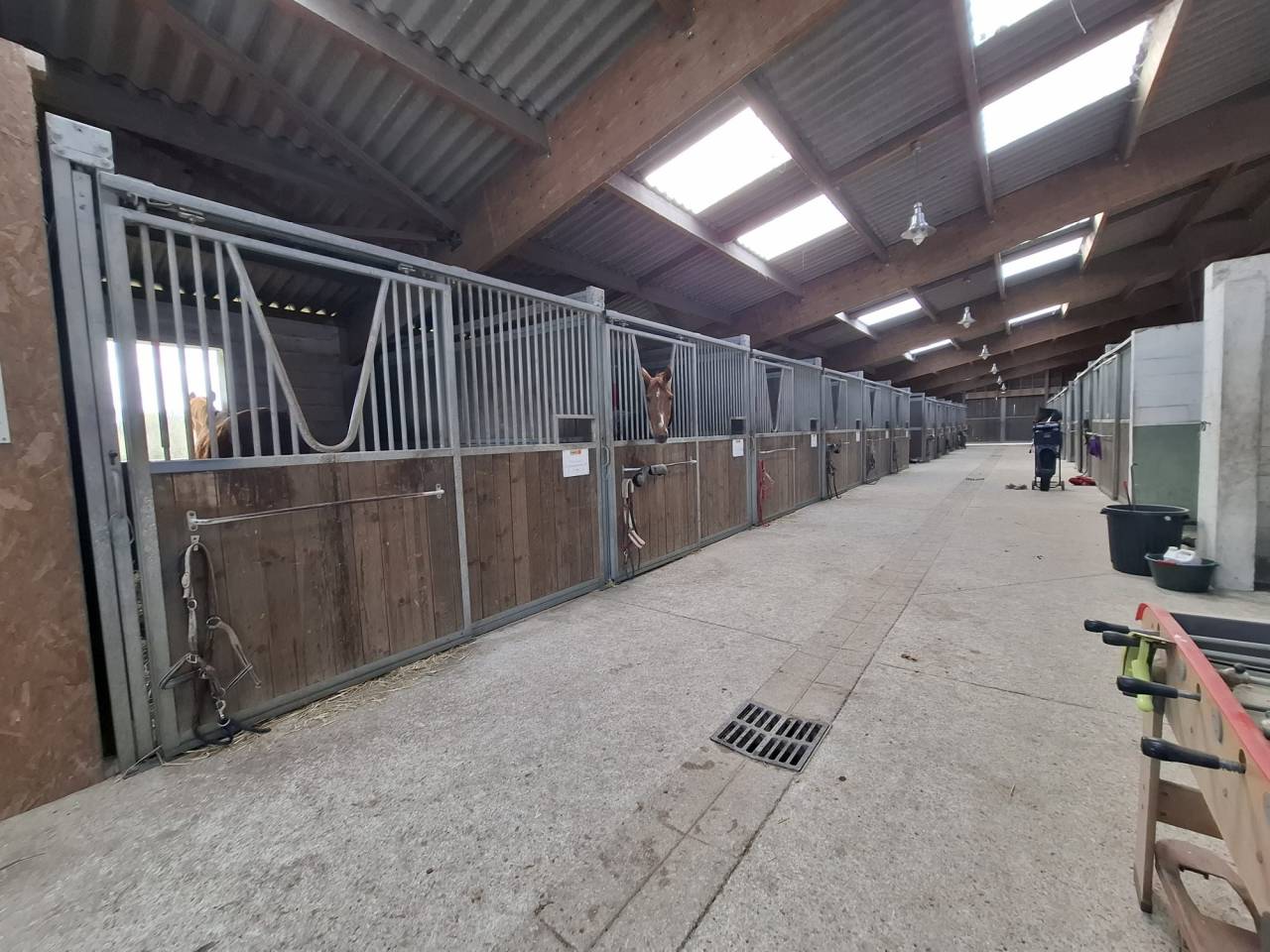 Equestrian property  Loiret