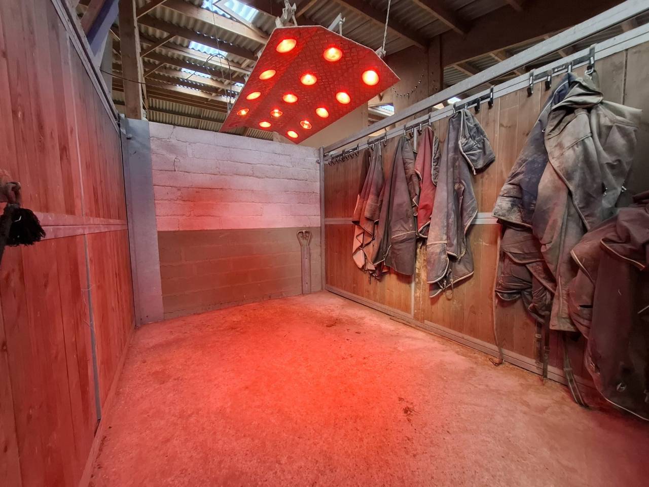 Equestrian property  Loiret