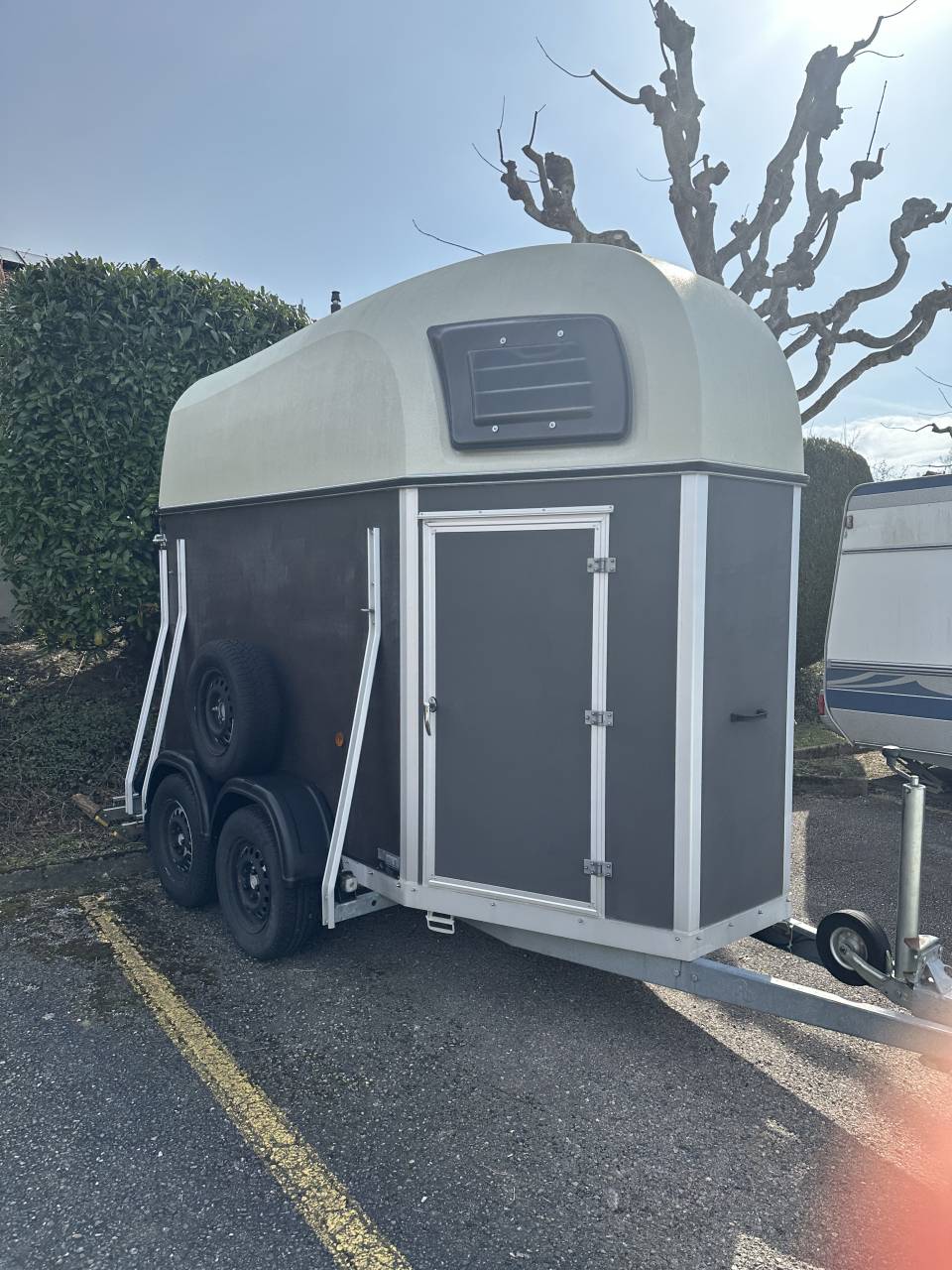 Horse trailer Blomert T1 1,5 Stalls 2016 Used