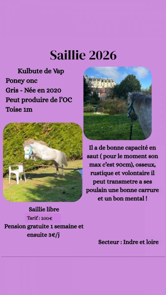 Kulbute de Vap - No Origin Recorded 2020