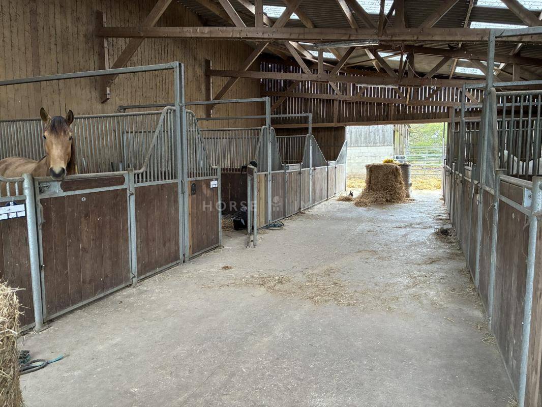 Riding school  Morbihan