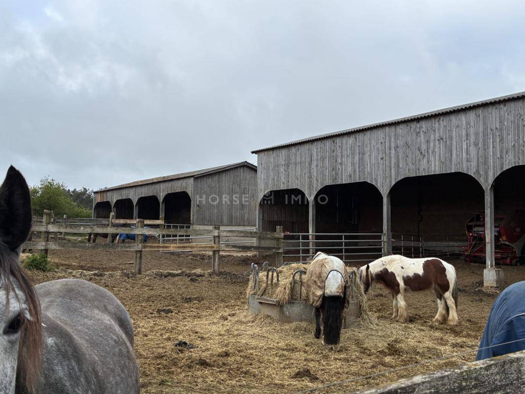 Riding school  Morbihan
