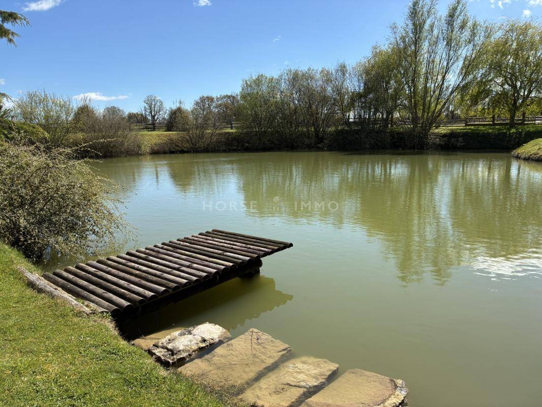 Equestrian property  Sarthe