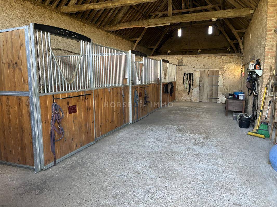 Equestrian property  Sarthe