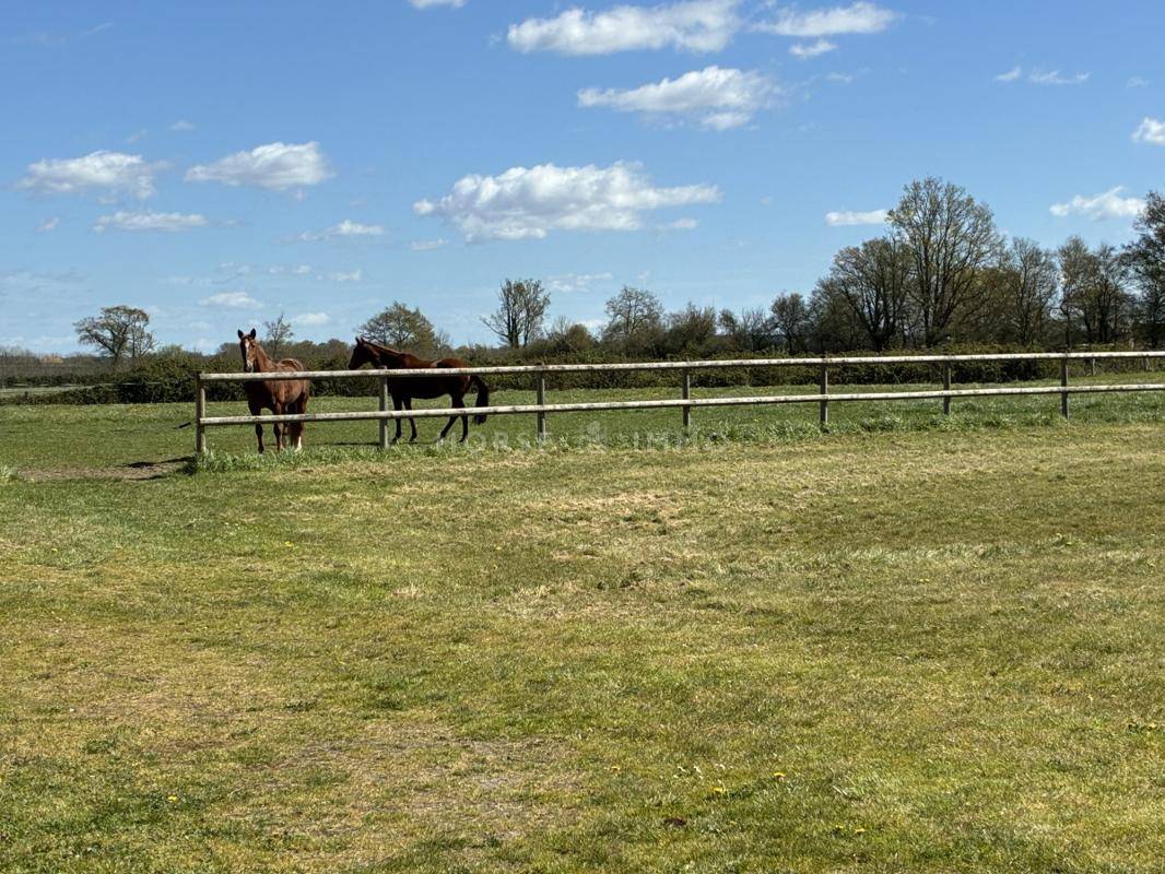 Equestrian property  Sarthe