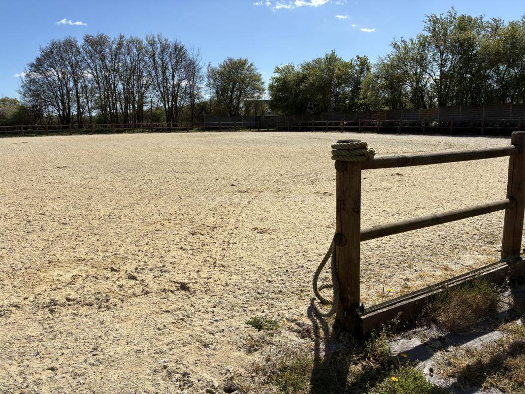 Equestrian property  Sarthe