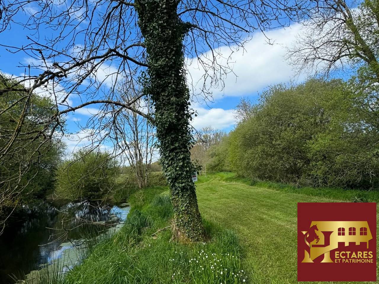 Equestrian Bed and Breakfast  Morbihan