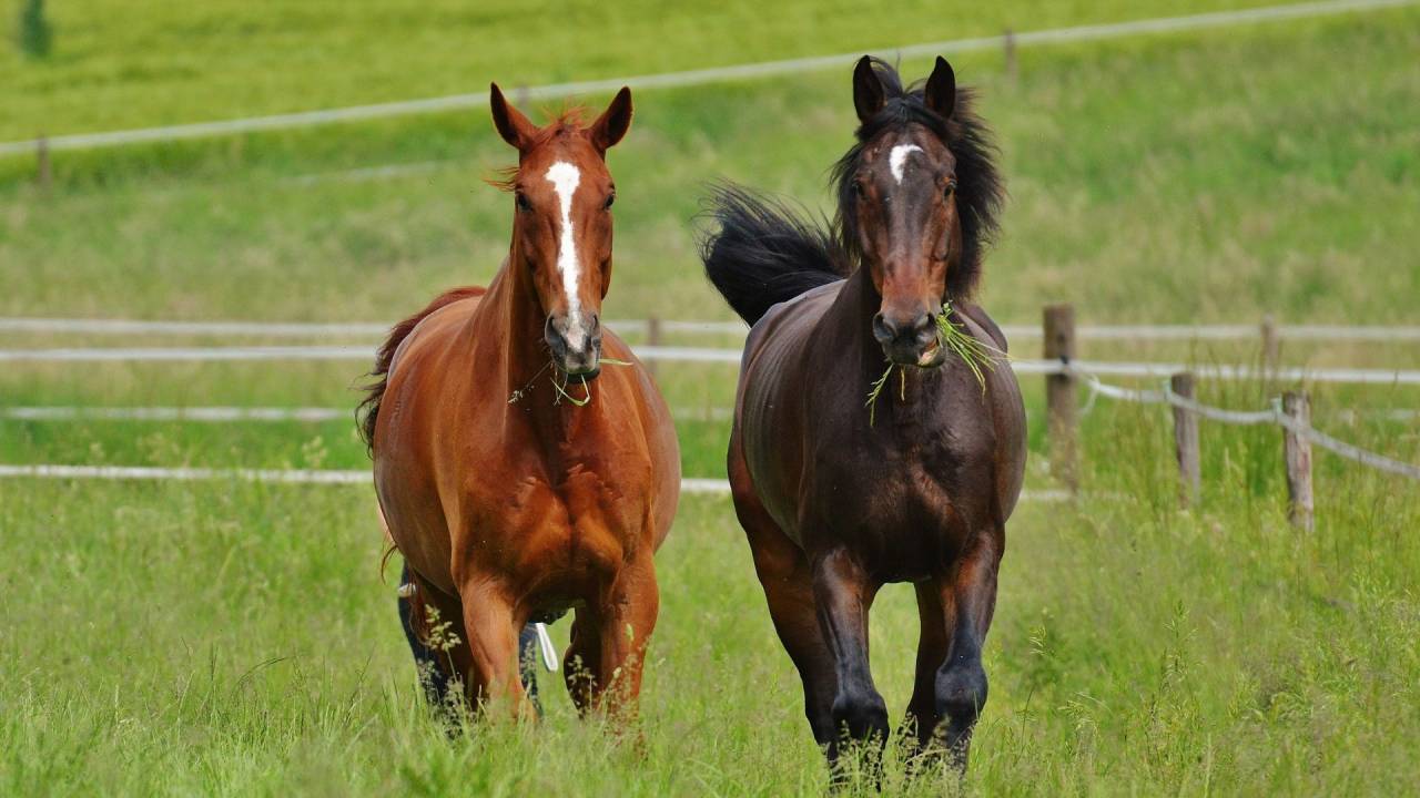 Land  H&eacute;rault