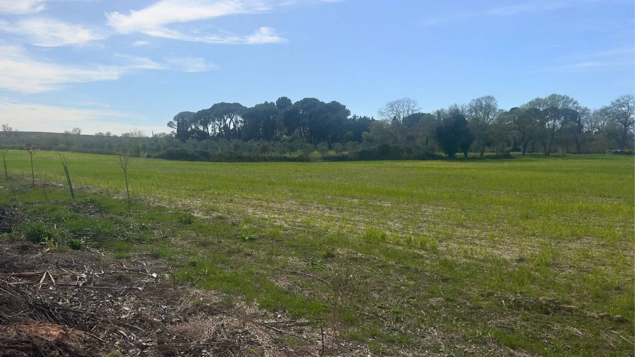 Land  H&eacute;rault