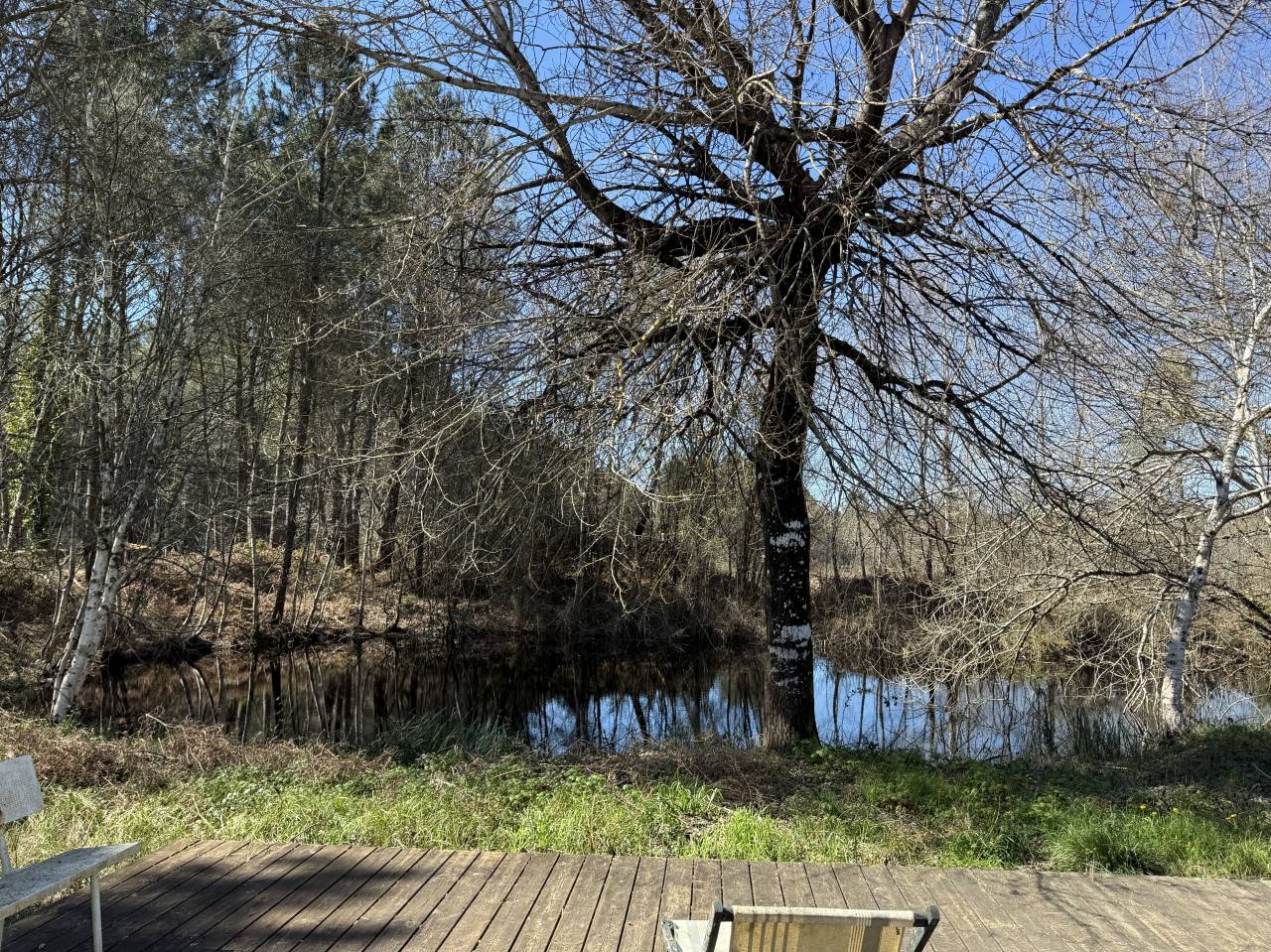 Livery yard  Gironde