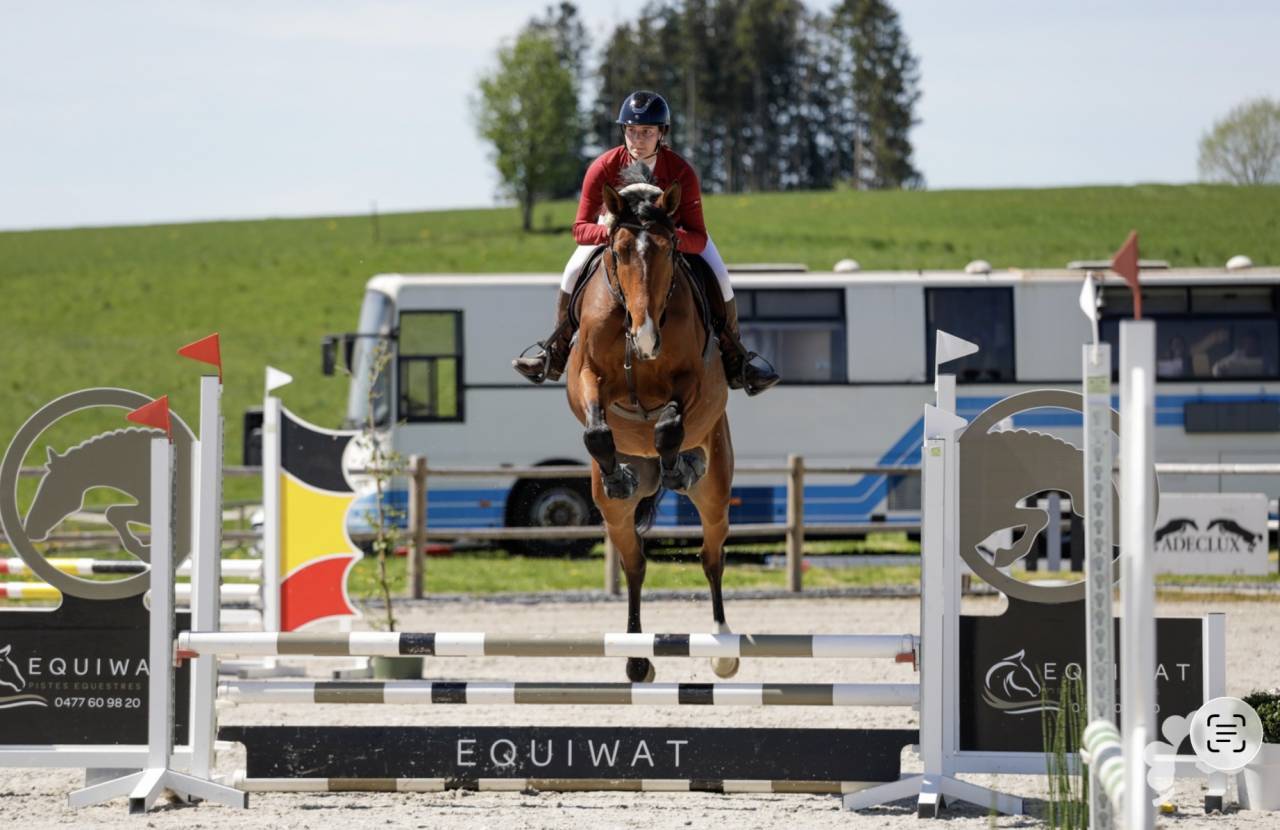 Malito d&rsquo;Orphee - Selle Fran&ccedil;ais 2022 by Papillon de l&rsquo;Odyss&eacute;e